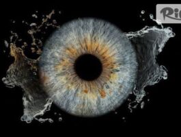 Специална оферта за Iris Art! Подари ирисова фотография във Варна: заснемане на ирис на око + дизайн с ефект, предоставено от Господинов Студио