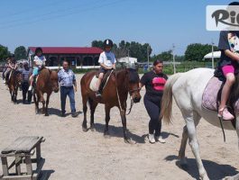 Специална оферта за Рожден ден за до 8 деца! 3 часа парти с конна езда, игри и меню + Бонус - посещение на детска ферма Тара, от Конна база Тара, с. Ягодово