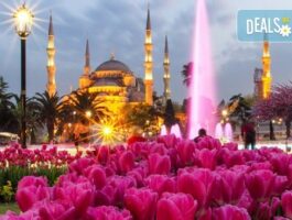 Мега Оферта Лято в Истанбул! 2 нощувки, закуски, транспорт, посещение на Одрин