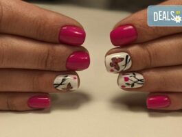 Мега Оферта Изящен маникюр! Маникюр с гел лак и 2 рисувани декорации или камъни в Салон Харизма