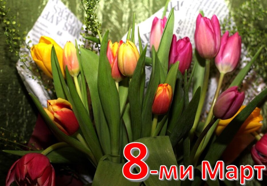 Оферта 8-ми март в Пирот!