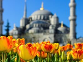 Специална оферта за Виж Фестивала на лалето в Истанбул! 2 нощувки със закуски + автобусен транспорт и с посещение на Лозенград + БОНУС - Класически Тур на Истанбул