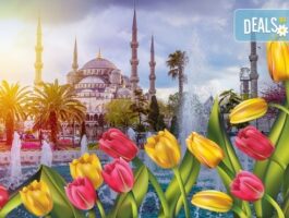 Мега Оферта Фестивал на лалето в Истанбул: 3 нощувки, закуски, транспорт, посещение на Одрин