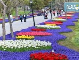 Мега Оферта Фестивал на лалето в Коня, посещение на Бурса и Ескишехир, 3 нощ., закуски, транспорт